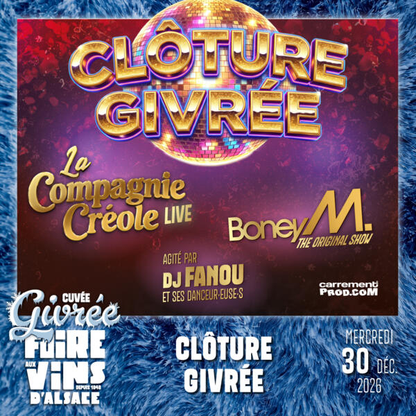 LA CLOTURE GIVREE